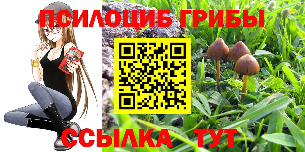 Нефтеюганск  Галлюциногенные грибы MAGIC MUSHROOMS  Вход с VPN 